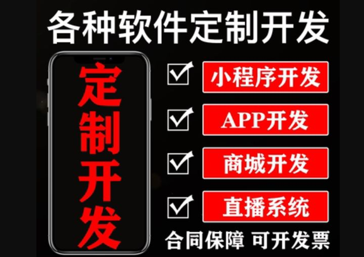 軟件開發(fā)服務(wù)